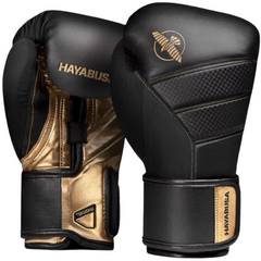T3 10oz BOXING GLOVES