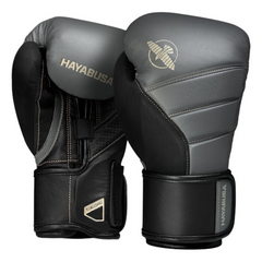 T3 10oz BOXING GLOVES